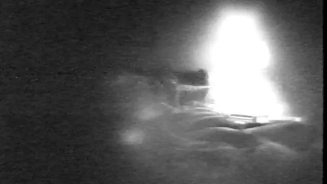 Parte 3 con Paminwa chochos bien peludos